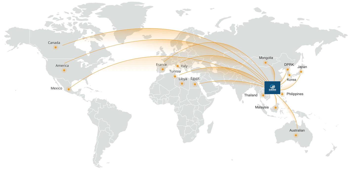 Sales Network -  - 1