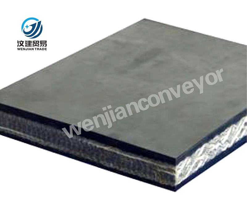 Heat-resistant Conveyor Belt